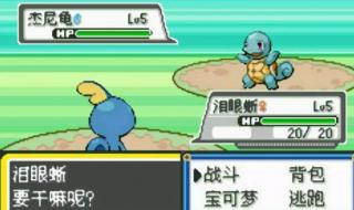 口袋妖怪386绿宝石修改主角形象代码 口袋妖怪绿宝石代码